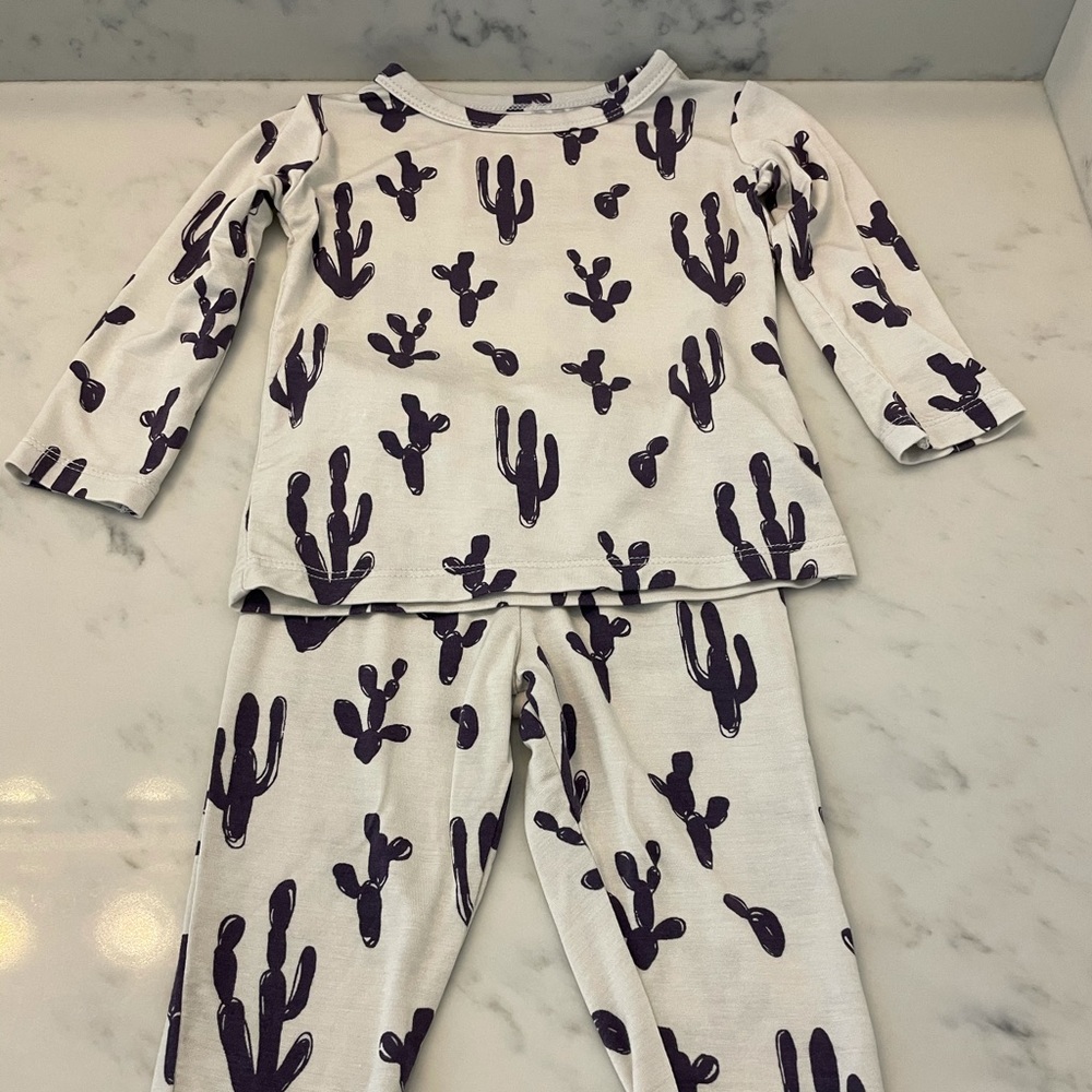 Posh Peanut 2 piece cactus set
